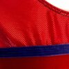 GK LgSLV ADULT SMALL RED VELVET FOIL ROYAL TRIM GYMNASTIC DANCE LEOTARD AS NWT! - Image 2
