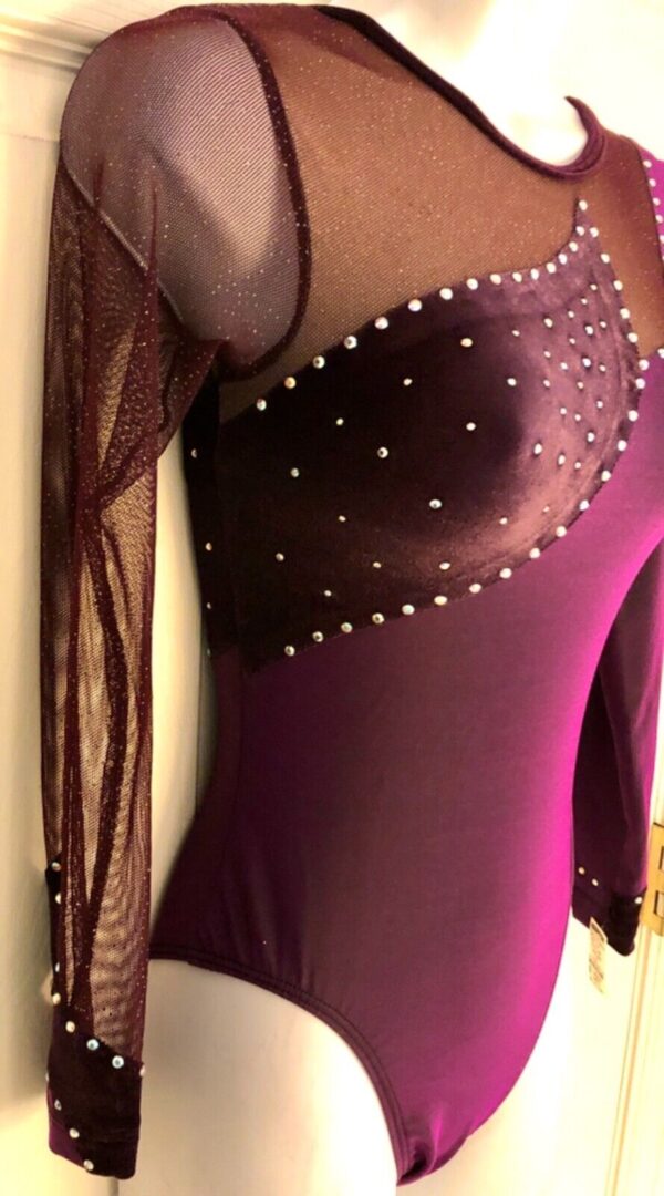 GK LgSLV LADIES SMALL EGGPLANT VELVET IRIDESCENT MESH GYMNAST DANCE LEOTARD AS - Image 3