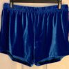 GK CHEER DANCE GYM WORKOUT SHORTS ADULT LARGE ROYAL VELVET DANCE Sz AL NWT!