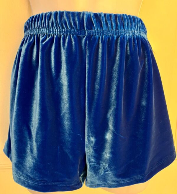 GK CHEER DANCE GYM WORKOUT SHORTS ADULT LARGE ROYAL VELVET DANCE Sz AL NWT! - Image 2