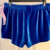 GK CHEER DANCE GYM WORKOUT SHORTS ADULT LARGE ROYAL VELVET DANCE Sz AL NWT! - Image 3
