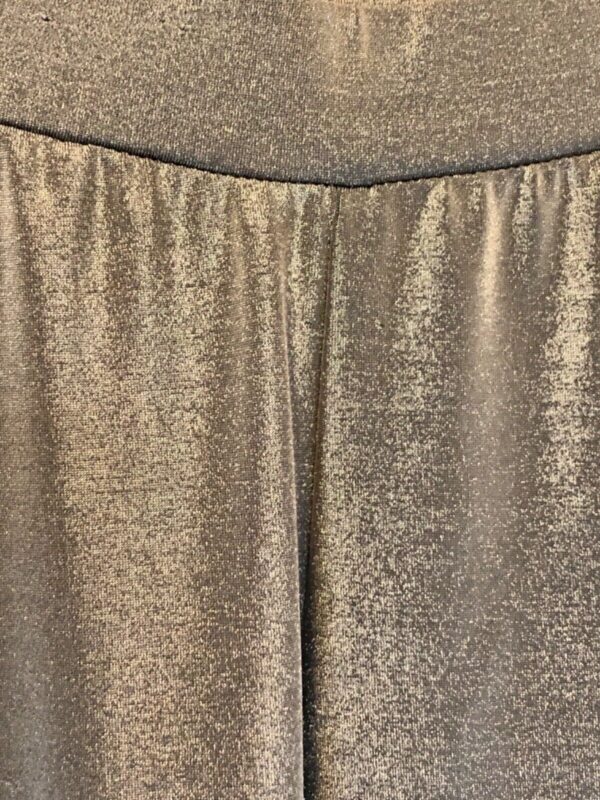 GK ICE SKATE DANCE WOMENS MEDIUM PEWTER IRIDESCENT PULL-ON PANTS Sz AM NWT! - Image 2