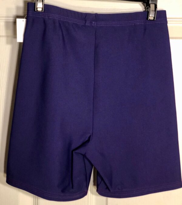 GK WORKOUT SHORTS LADIES X-SMALL PURPLE NYLON/SPANDEX DANCE CHEER GYMNASTICS XS - Image 2