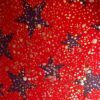 GK ICE FIGURE SKATE ADULT X-SMALL LgS RED ROYAL VELVET EMPIRE DRESS Sz AXS NWT! - Image 4