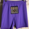 GK WORKOUT SHORTS LADIES SMALL PURPLE DANCE CHEER GYMNASTICS NYLON/SPANDEX SZ S